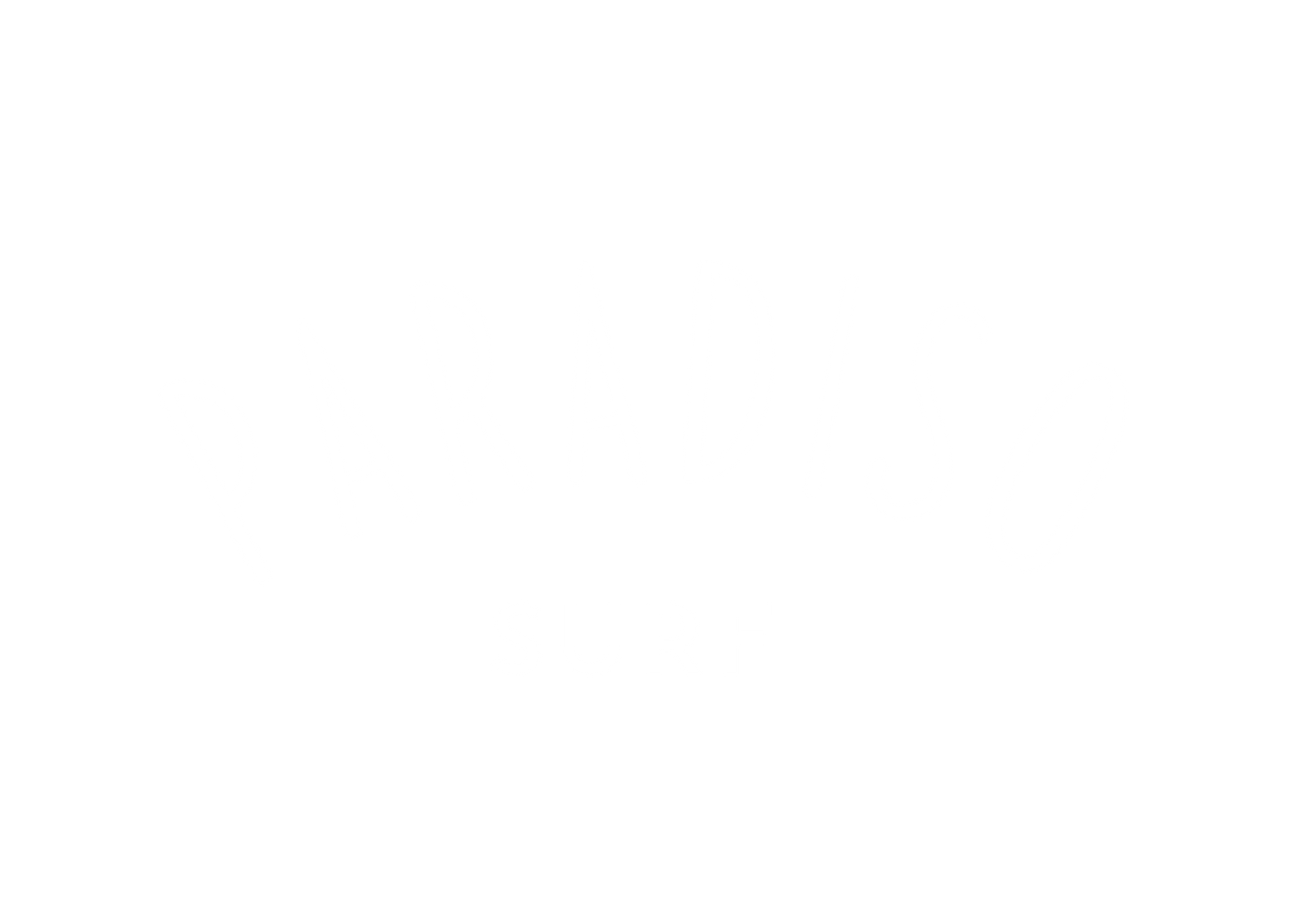 Paradiso Surf